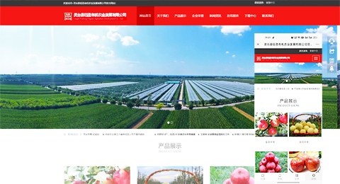 企業(yè)網(wǎng)站、程序軟件App解決方案